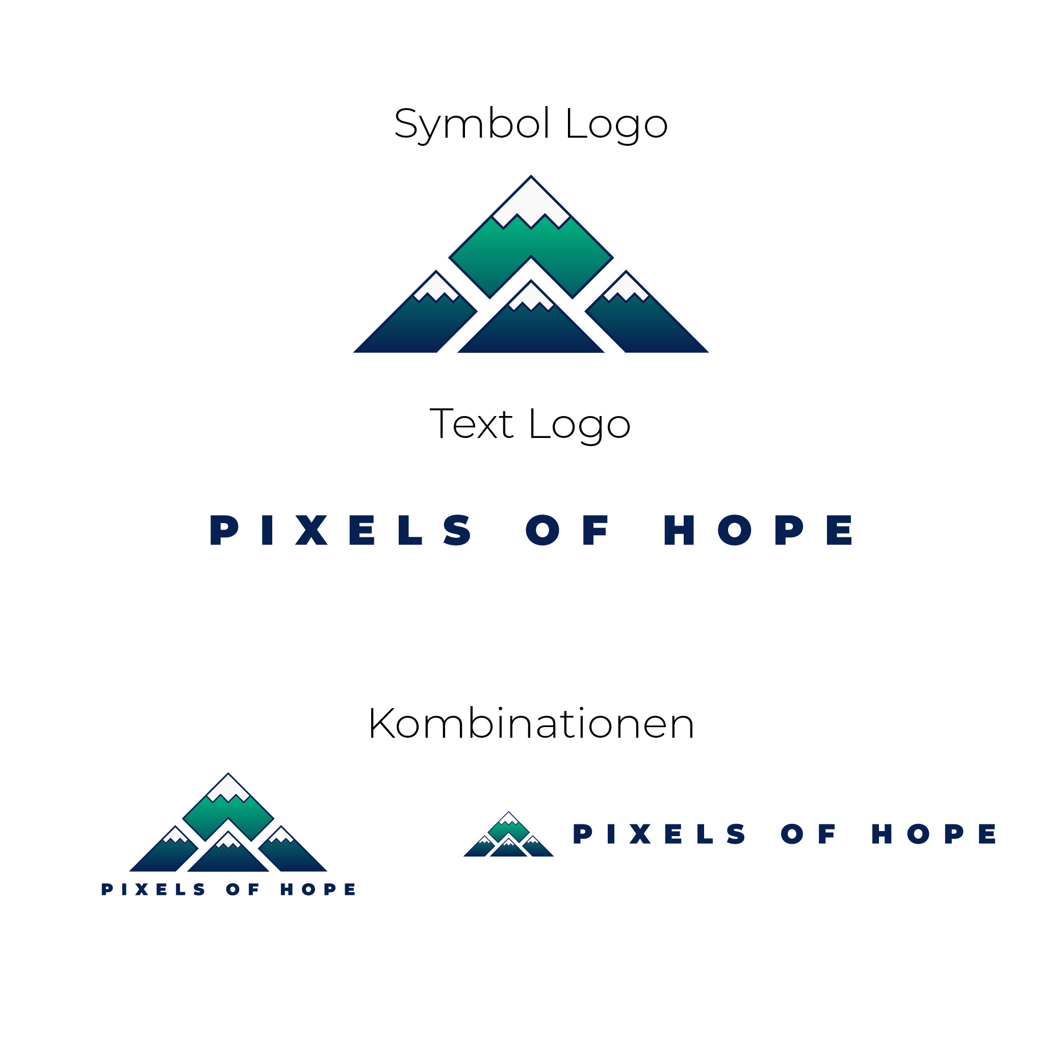 Logo variations example